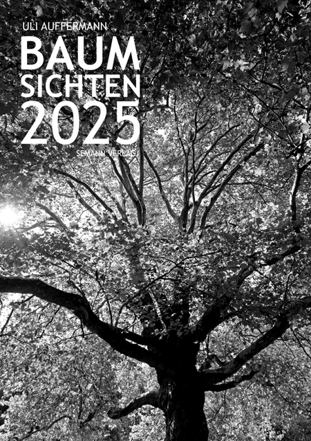 Kalender 2025 „Baumsichten"